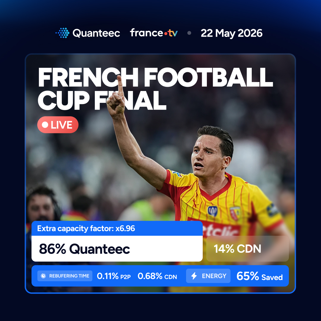 French football final 2026, France Televisions