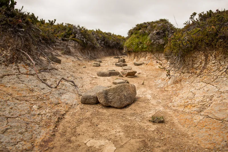 Water scarcity and climate change: How QUANTEEC can make a concrete difference